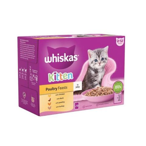 پوچ بچه گربه ویسکاس با طعم گوشت پرندگان Whiskas Junior Poultry In Jelly پک 12 عددی