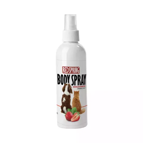 اسپری ضدعفونی کننده و تمیز کننده رداسپرینگ مدل Body Spray رایحه توت فرنگی حجم 150 میلی لیتر