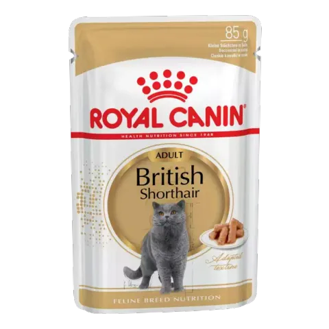 پوچ گربه رویال کنین مدل British Shorthair وزن 85 گرم