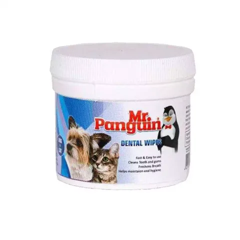 دستمال مرطوب دندان مستر پنگوئن مدل Dental Wipe بسته 70 عددی